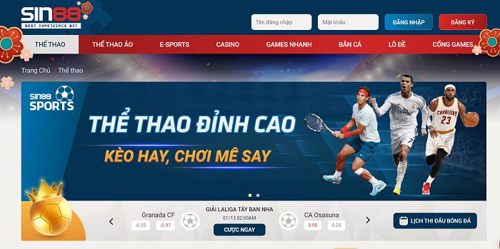 Lý do thuyết phục anh em tham gia sảnh cược thể thao K-sports