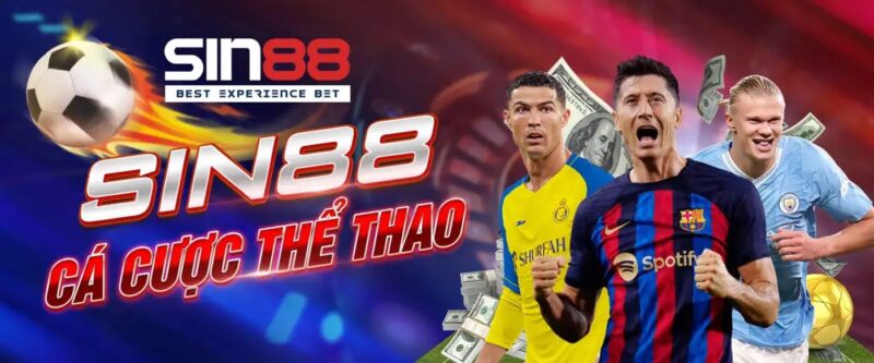 Sảnh cá độ hấp dẫn bet thủ gọi tên Cá cược thể thao Sin88