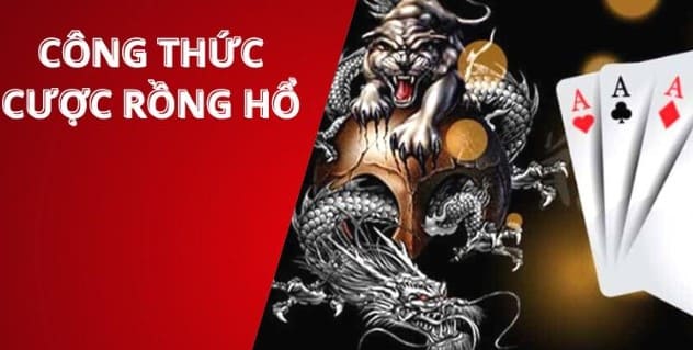 Những thông tin newbie muốn tham gia trải nghiệm cược Rồng Hổ nên biết 